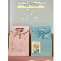TÚI GIẤY ĐỰNG QUÀ