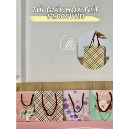 TÚI GIẤY HỌA TIẾT